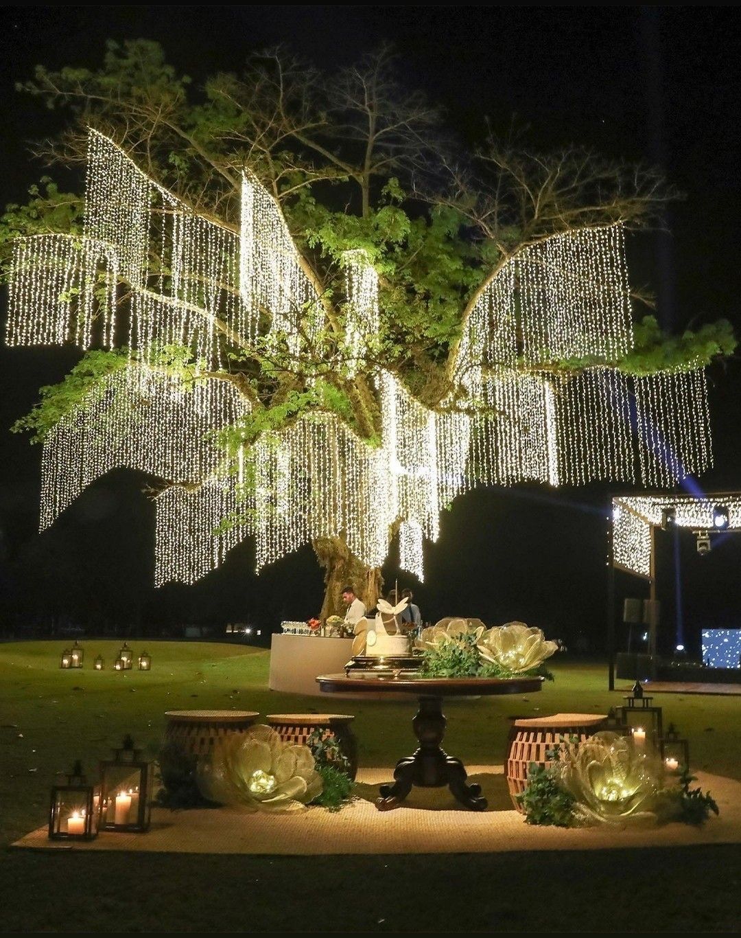 Fun Celebration Experience